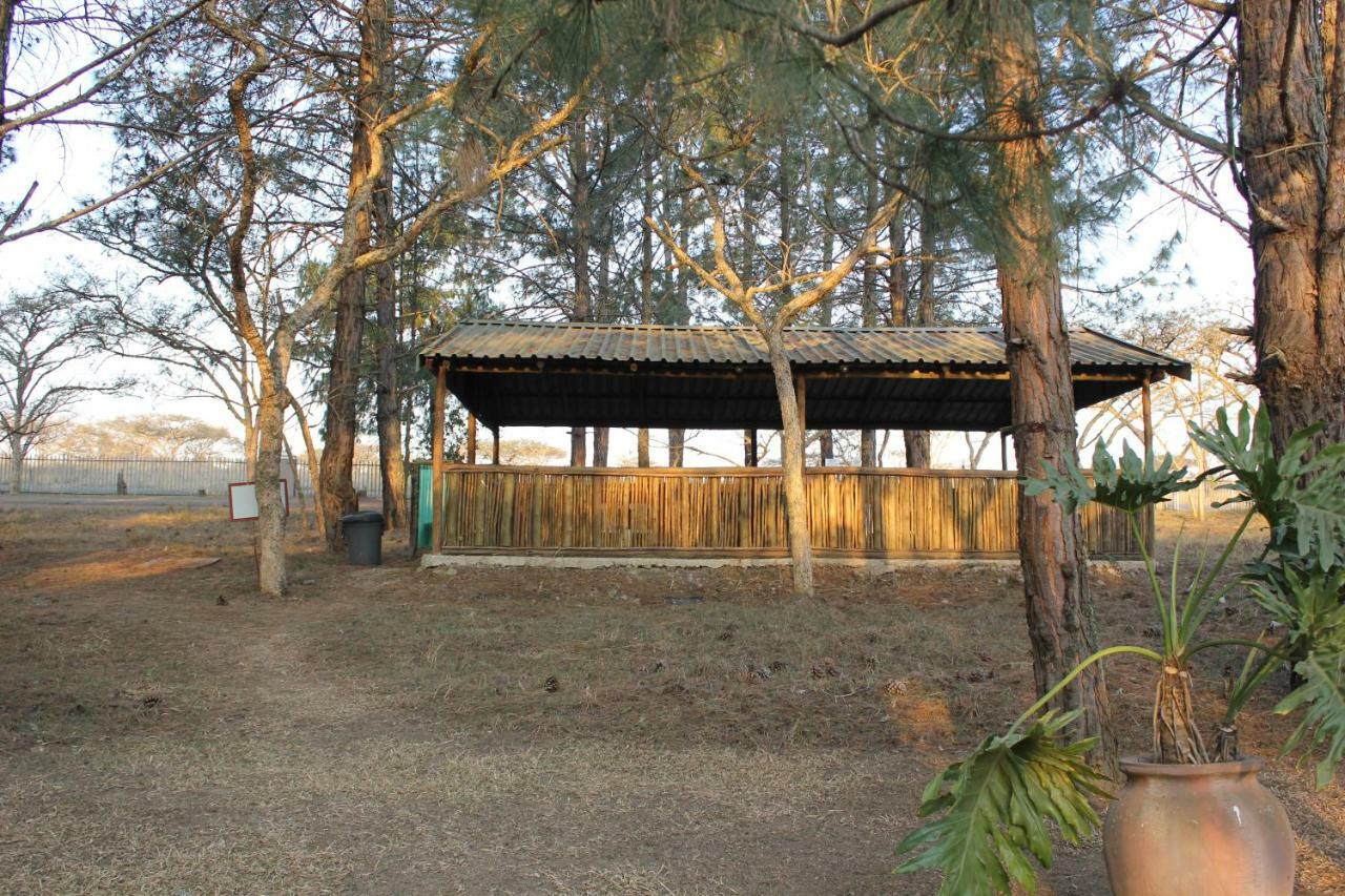 Acacia Bush Lodge Pietermaritzburg Kültér fotó