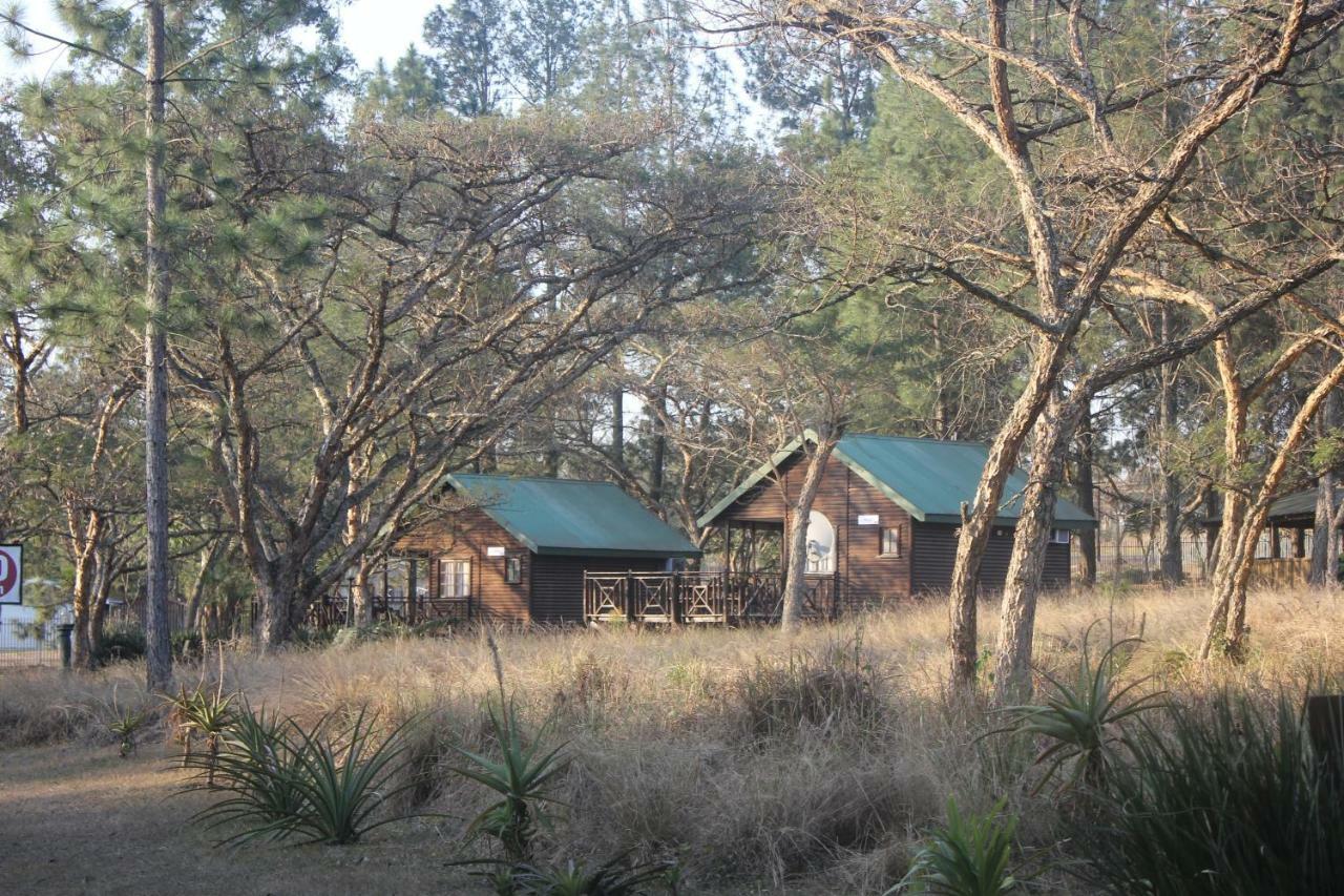 Acacia Bush Lodge Pietermaritzburg Kültér fotó